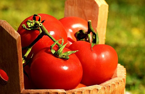 tomatoes-2204853_640.jpg