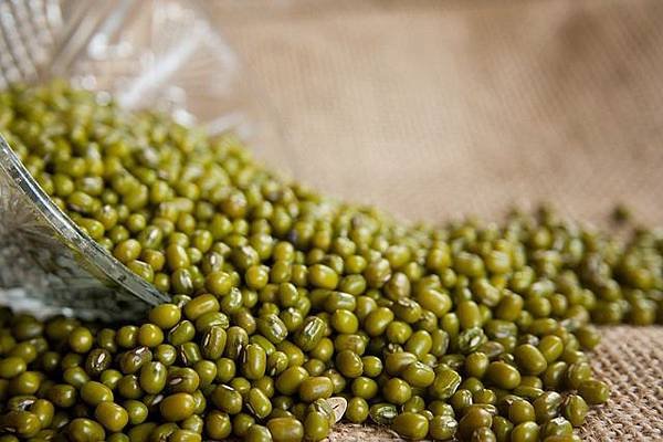 mung-beans-166996_640.jpg