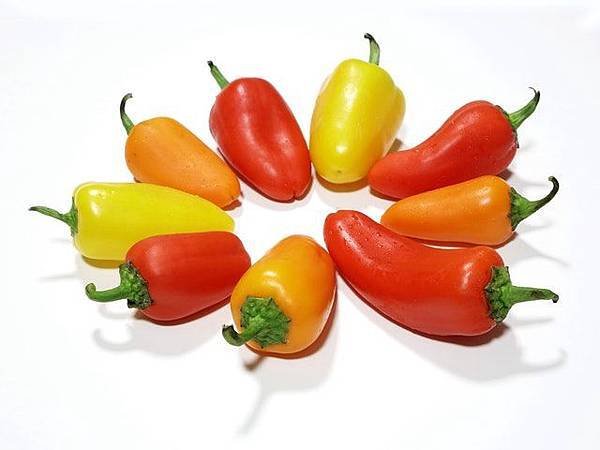 pepper-yellow-red-orange-50584.jpeg