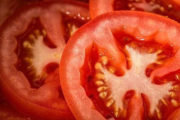 tomato-red-salad-food.jpg