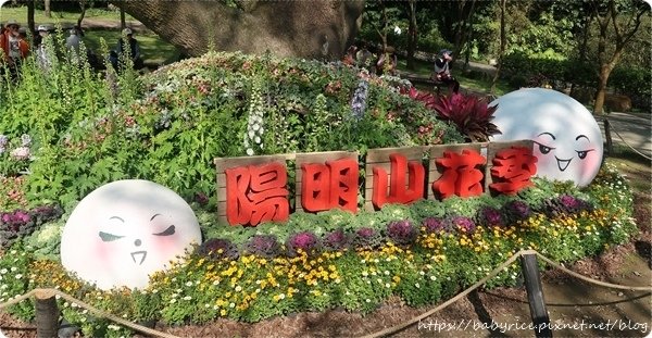 花都開好了・陽明山花季