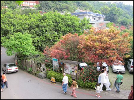 走千遍也不厭倦・台北奧萬大