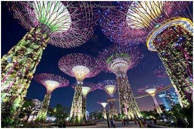 新加坡迷人夜景~~~~Supertrees3.JPG