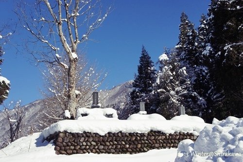 DSC05739.JPG