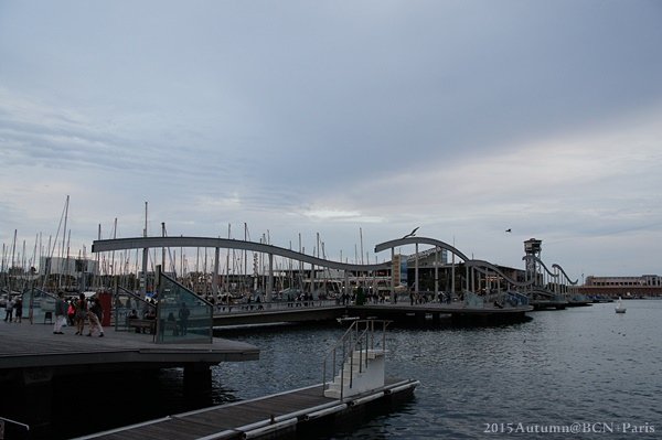 DSC05441.JPG