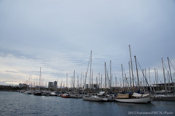 DSC05444.JPG