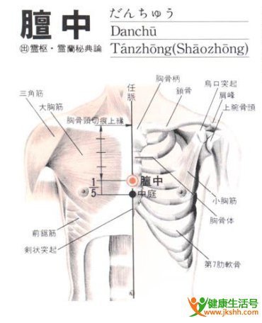 膻中穴