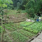 DSC00110.JPG
