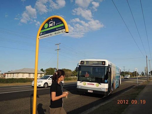 Duffy City Buses