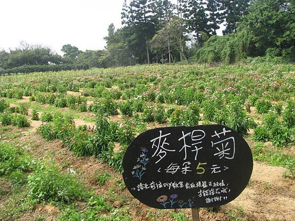 107新春照 031.jpg