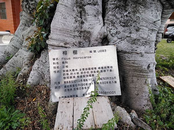 IMG_20190404_105655.jpg