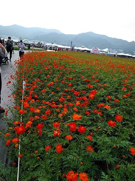 109花毯節 038.jpg