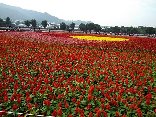 109花毯節 057.jpg