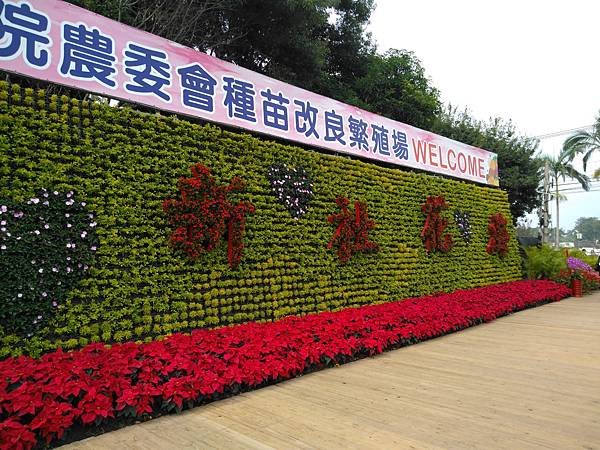 109花毯節 066.jpg