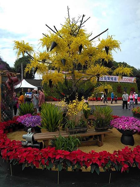 109花毯節 086.jpg