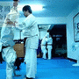 009.gif