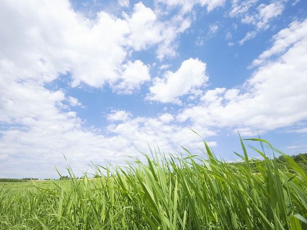 green-grassland-under-sky-photo-009.jpg