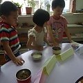 DSC02380.JPG