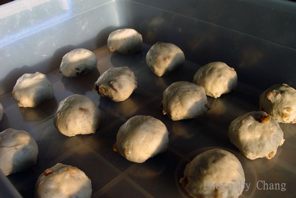 紅豆核桃-005.jpg