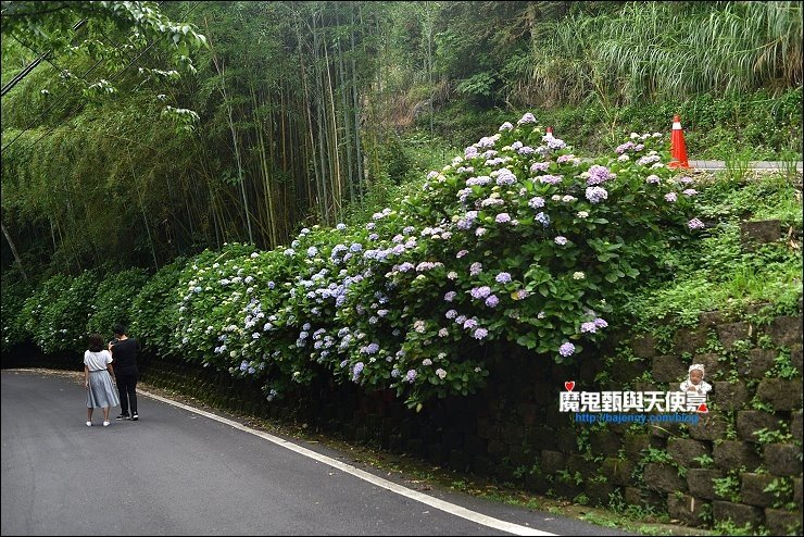 高山青秘境