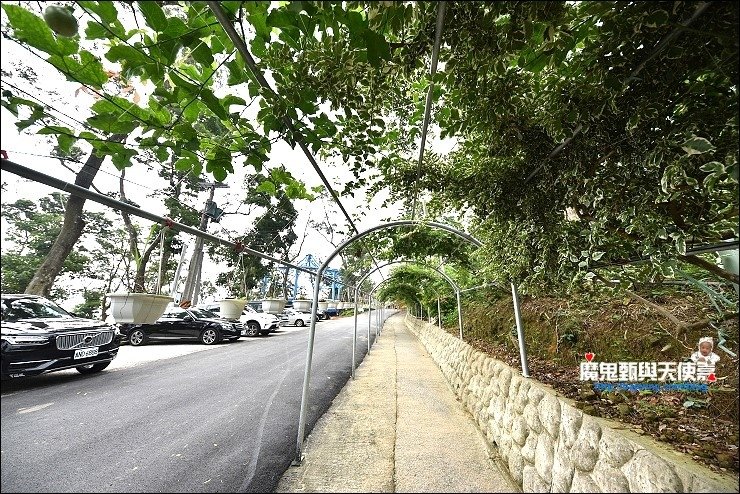 蘇維拉莊園