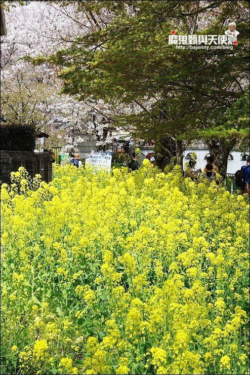 山科疏水
