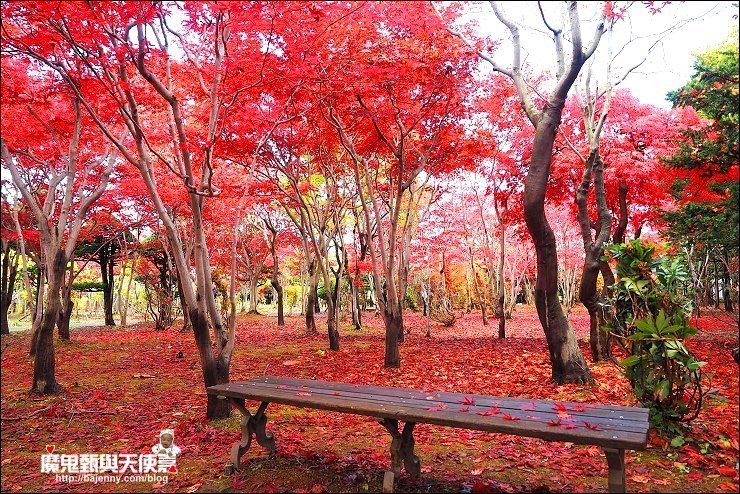 日本網卡