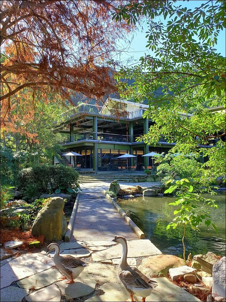 紫森林旅宿庭園景觀2.jpg