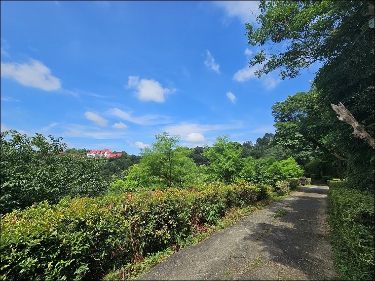 香格里拉休閒農場-景觀步道4.jpg