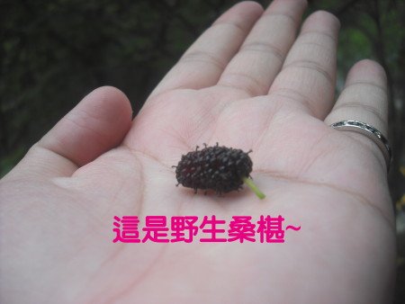DSCF0277.JPG