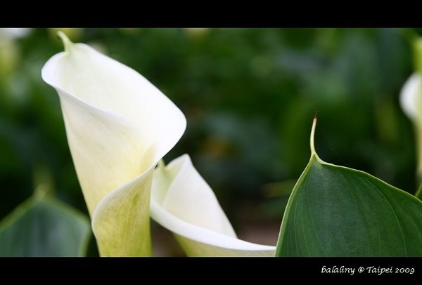 FixIMG_1972.jpg
