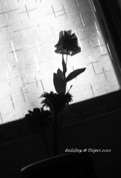 fixIMG_0122.jpg