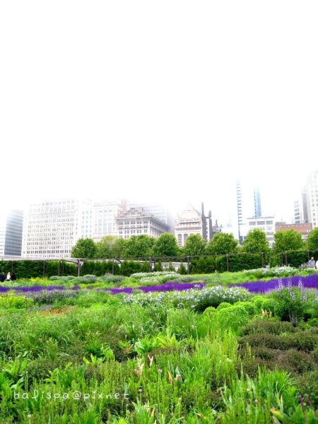 Lurie Garden