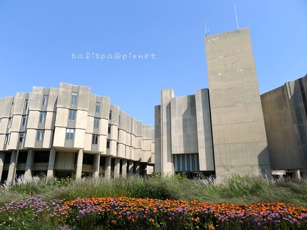 圖書館