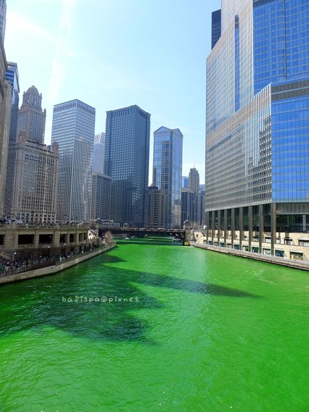 Dyeing the Chicago River