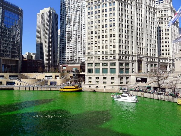 Dyeing the Chicago River