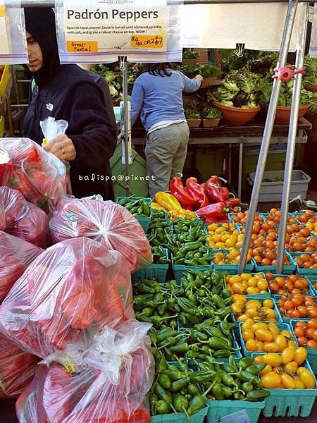 Padrón peppers