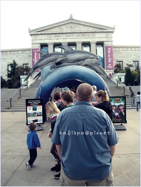 Shedd Aquarium