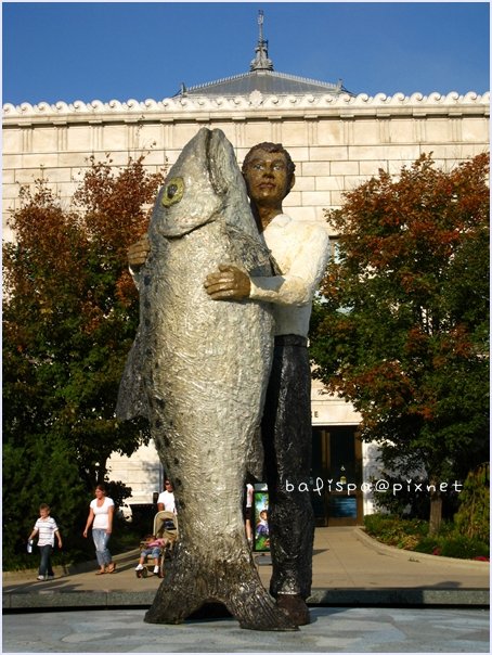 Shedd Aquarium