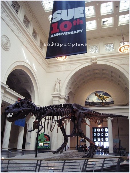 Field Museum