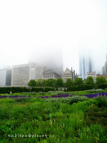 Lurie Garden