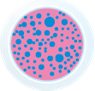 hydrafresh_pic_08.jpg