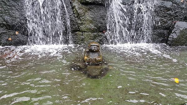 20151027_114522.jpg