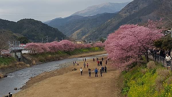 20160224_143920.jpg