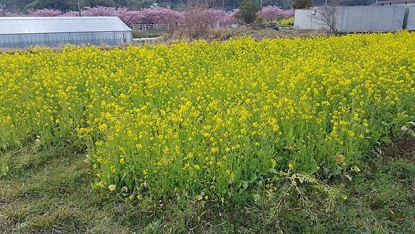 20160224_150201 - Copy - Copy.jpg