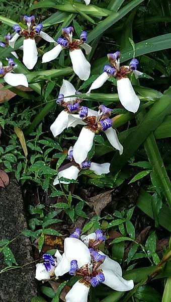 IMAG2645
