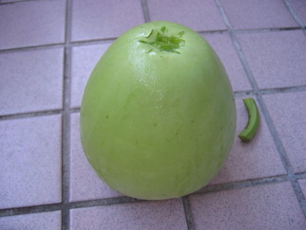 瓠瓜 011.jpg