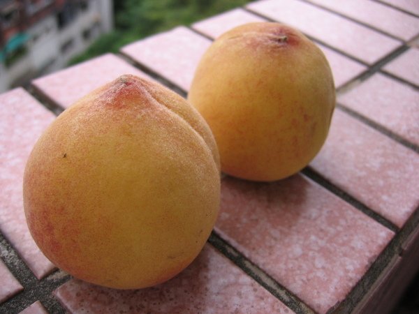 水蜜桃2 003.jpg
