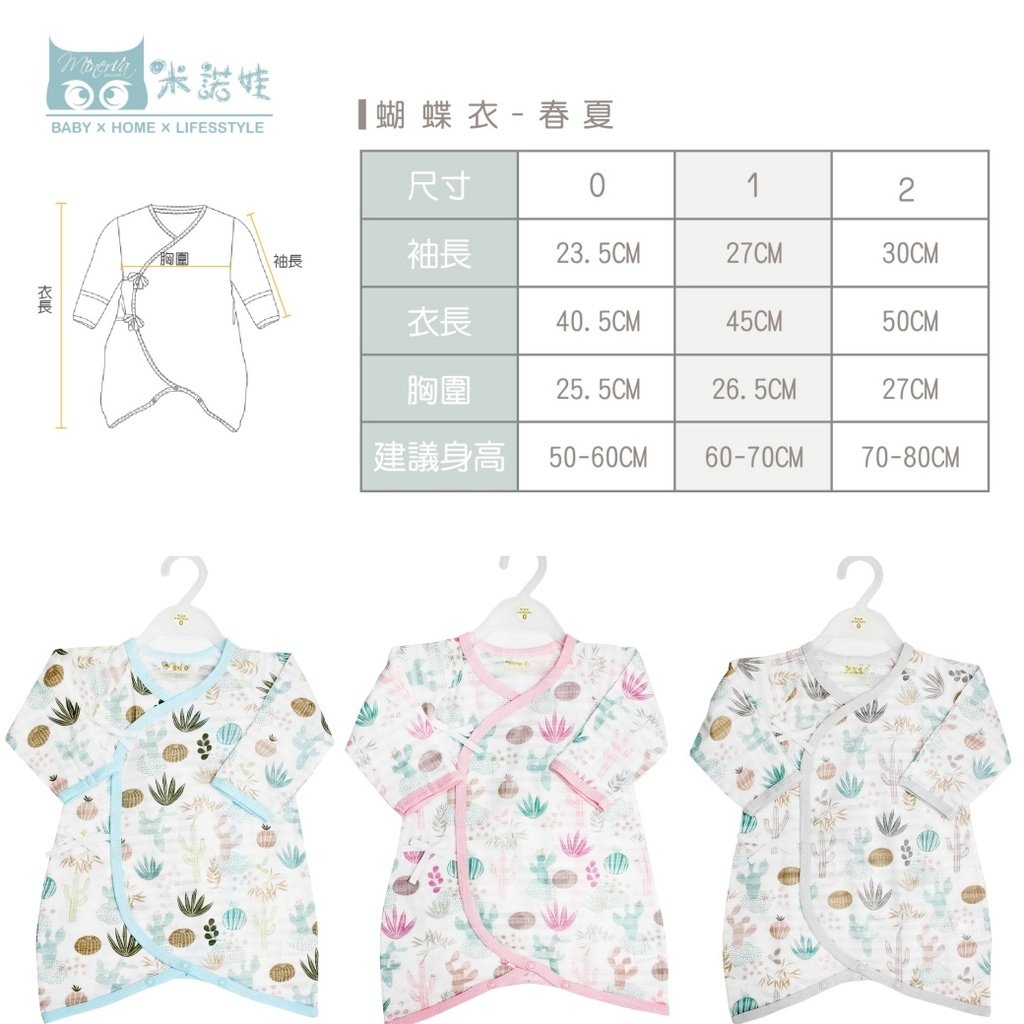 【仙人掌系列】蝴蝶衣.jpg