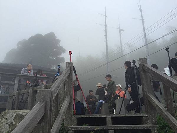 果然山頂才是好景點! 也太多角架在這邊待命了吧!